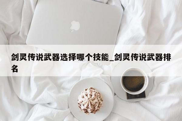 剑灵传说武器选择哪个技能_剑灵传说武器排名