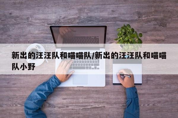 新出的汪汪队和喵喵队/新出的汪汪队和喵喵队小野