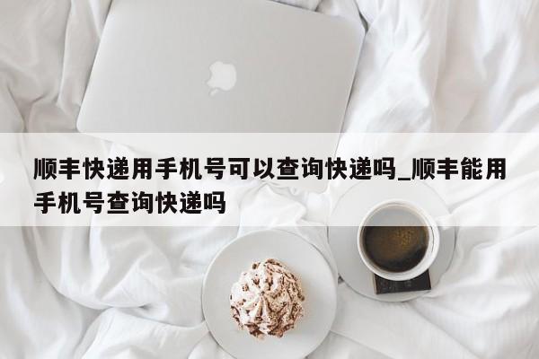 顺丰快递用手机号可以查询快递吗_顺丰能用手机号查询快递吗