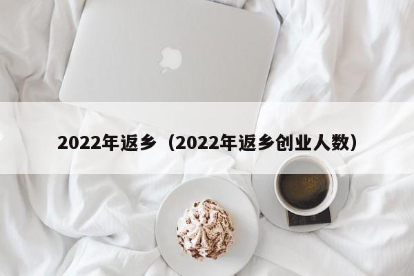 2022年返乡（2022年返乡创业人数）