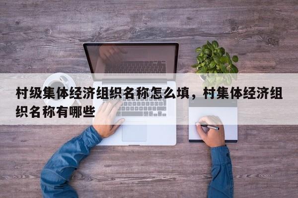 村级集体经济组织名称怎么填，村集体经济组织名称有哪些