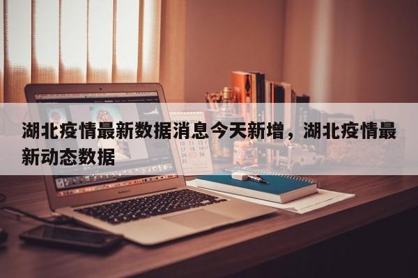 湖北疫情最新数据消息今天新增，湖北疫情最新动态数据