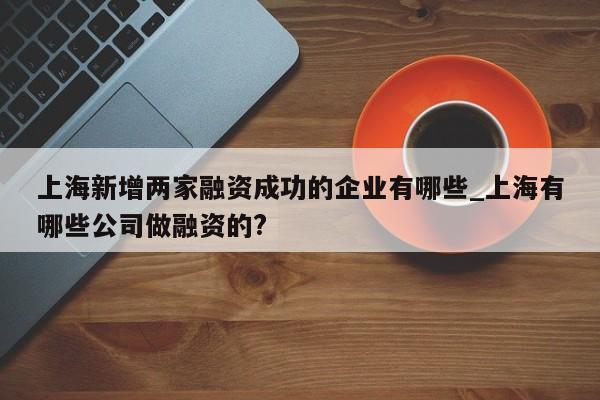 上海新增两家融资成功的企业有哪些_上海有哪些公司做融资的?