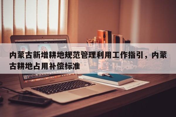 内蒙古新增耕地规范管理利用工作指引，内蒙古耕地占用补偿标准